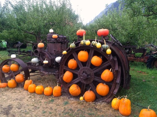Parsons - Tractor & Pumpkins