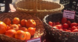 Summerville Farmers Market