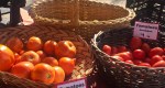 Summerville Farmers Market