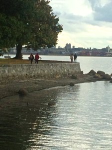 Walk in Stanley Park