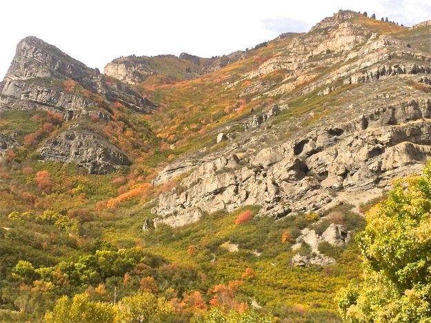 Provo Canyon - Autumn Color 2