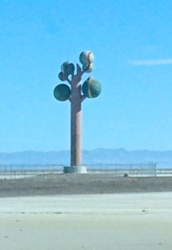 Salt Flats Sclupture