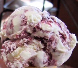 Tillamook Huckleberr IC