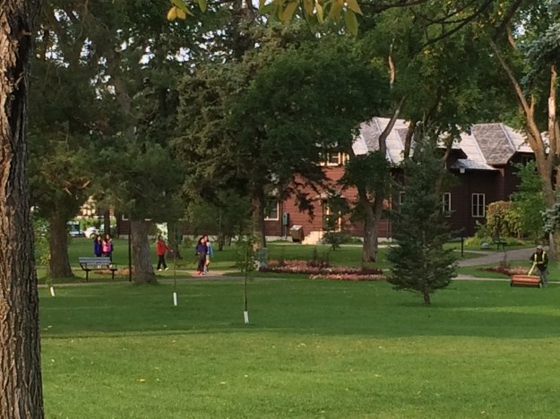 RMNP - Lakefront Green