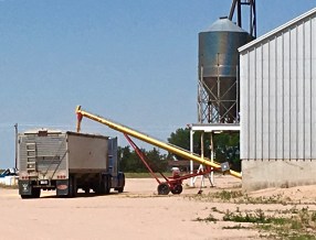 colorado-grain-loading